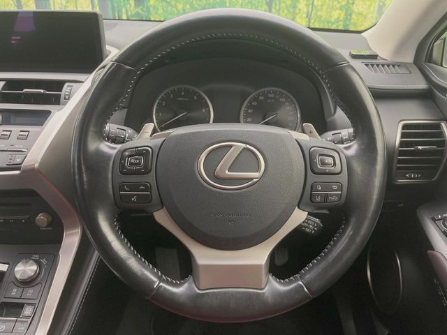 Lexus NX 11