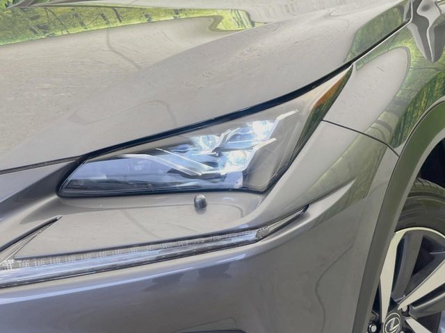 Lexus NX 12