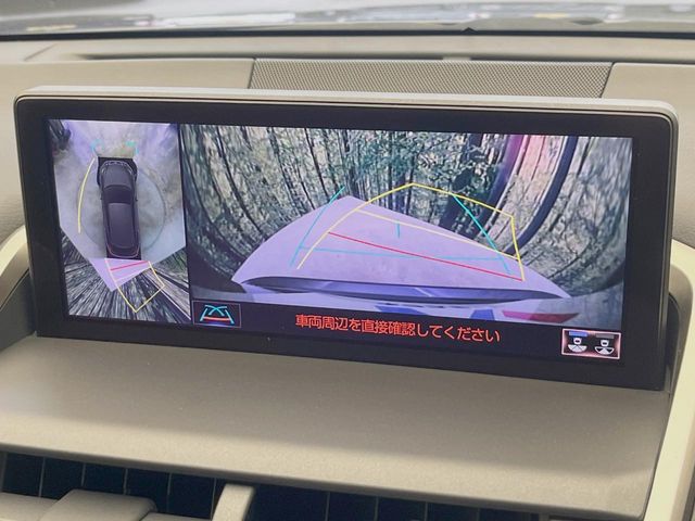 Lexus NX 4