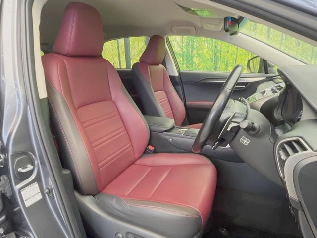 Lexus NX 8