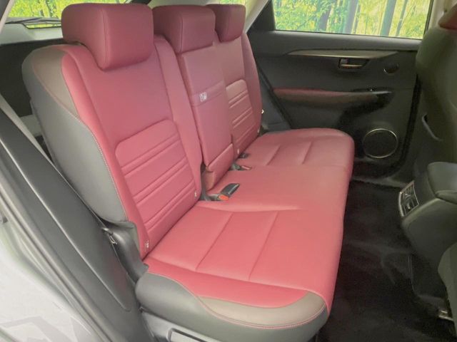 Lexus NX 9