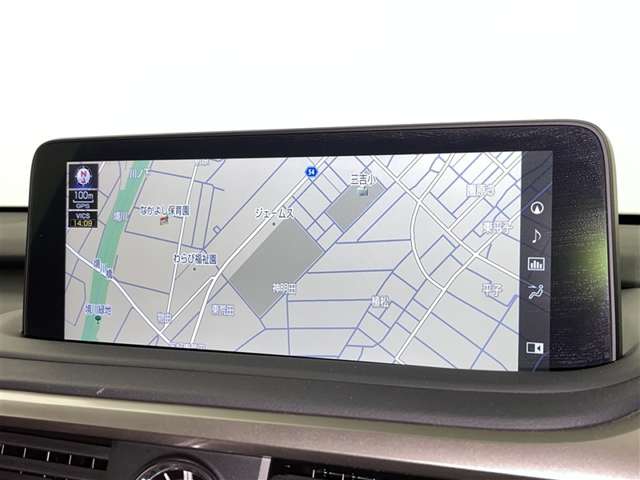 Lexus RX 11