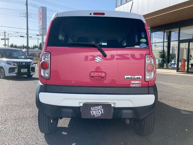 Suzuki Hustler 9