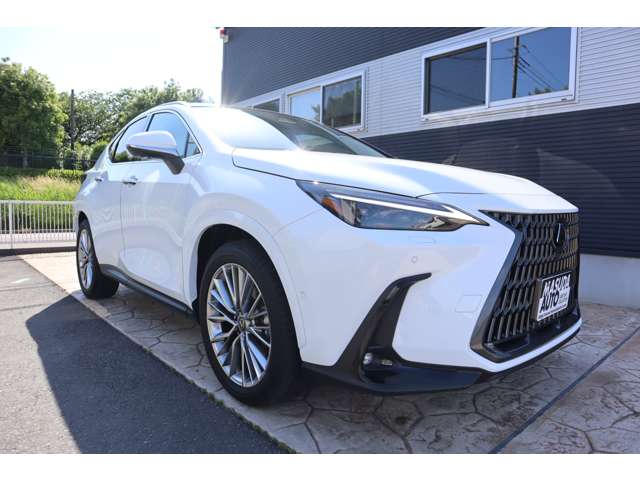 Lexus NX 3