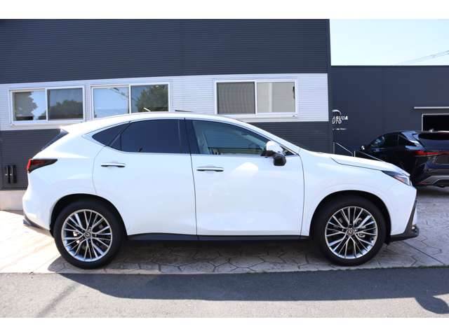 Lexus NX 4