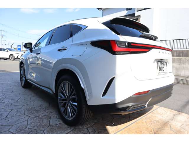 Lexus NX 5