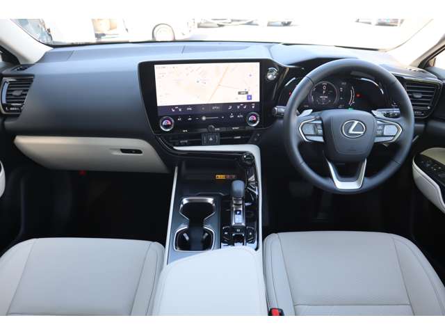 Lexus NX 8