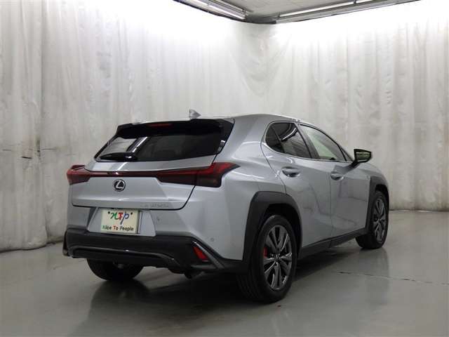Lexus UX 8