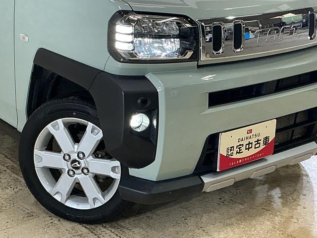 Daihatsu Taft 8