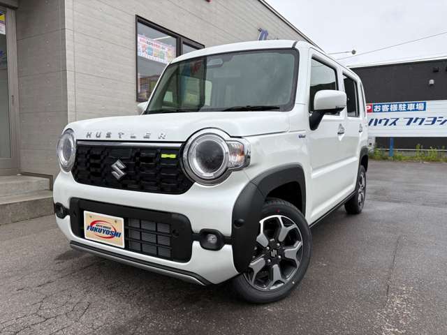 Suzuki Hustler 6