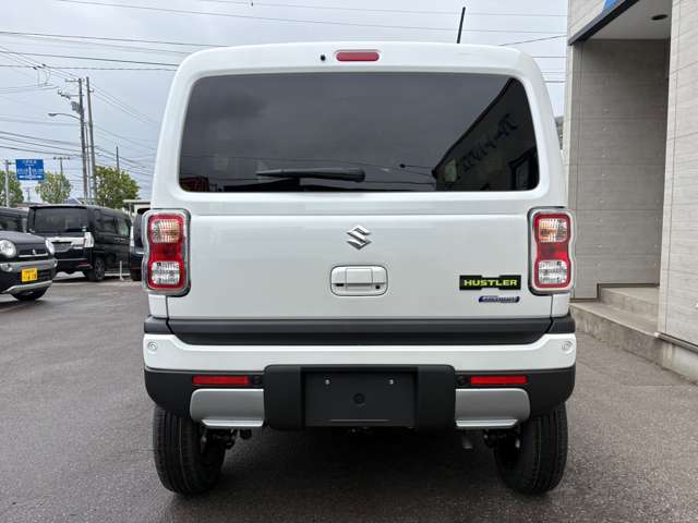 Suzuki Hustler 9