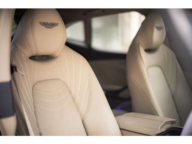 Aston Martin DBX 10