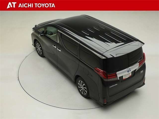 Toyota Alphard 12