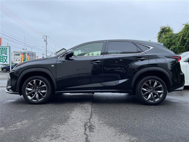 Lexus NX 11