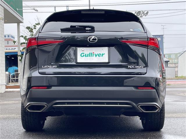 Lexus NX 12