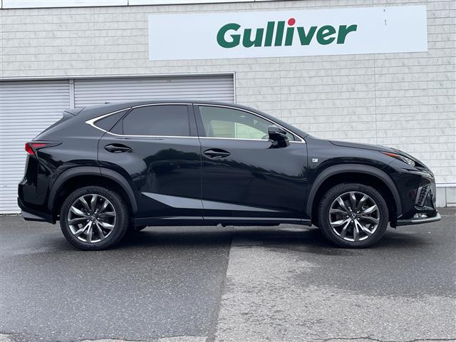 Lexus NX 10