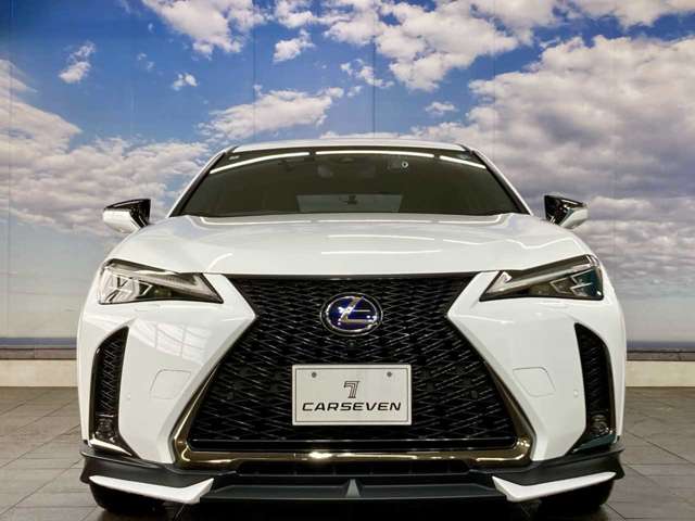 Lexus UX 12