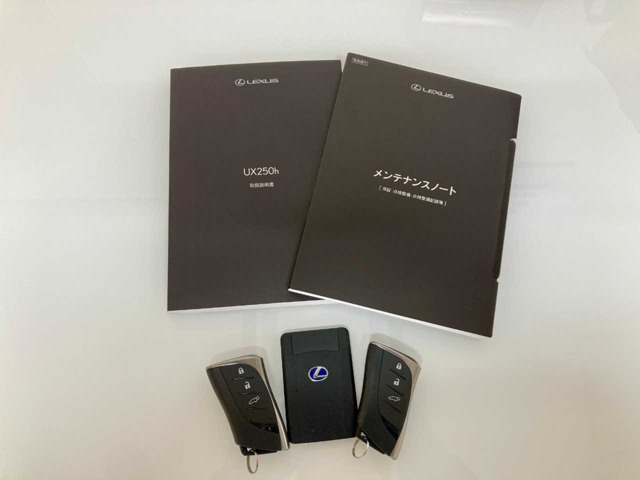 Lexus UX 8