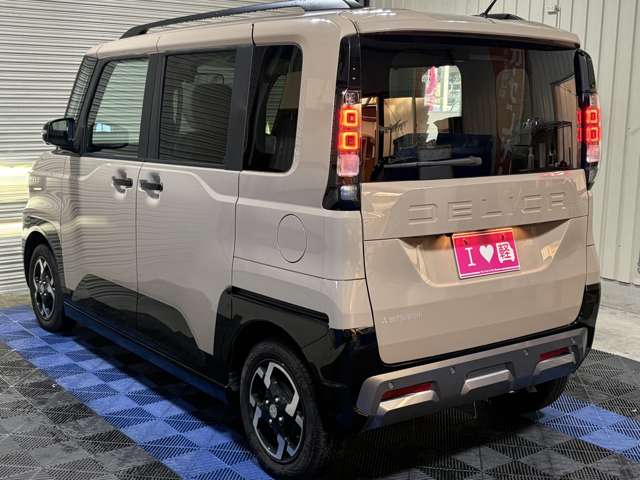 Mitsubishi Delica Mini 10