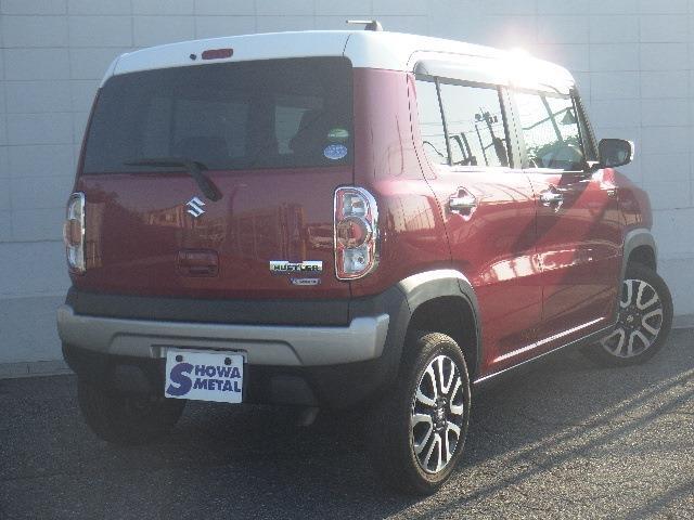 Suzuki Hustler 6