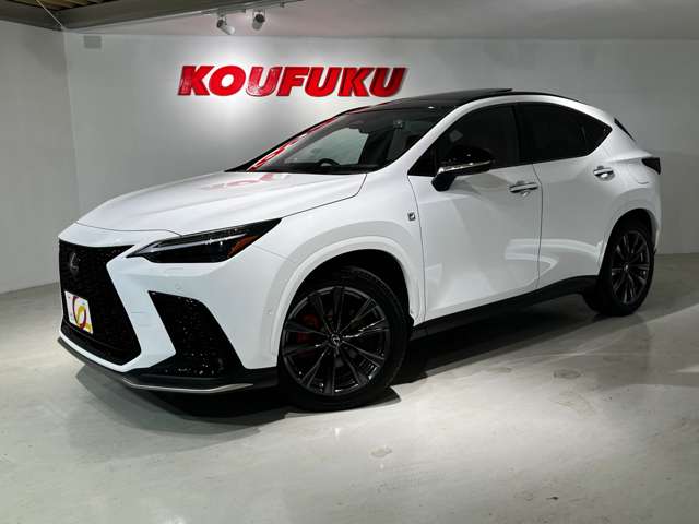 Lexus NX 4