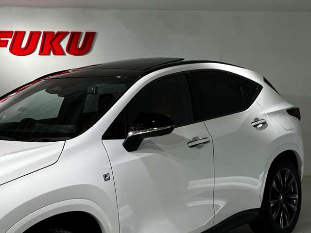 Lexus NX 5