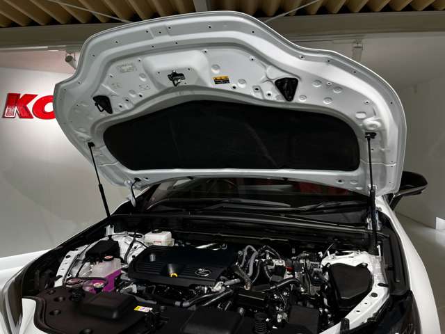 Lexus NX 8