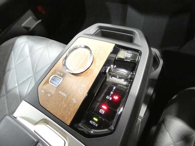 BMW iX 11