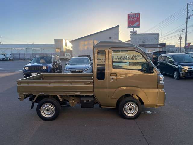 Subaru Sambar Truck 8
