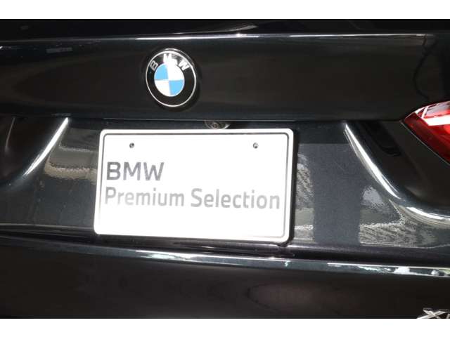 BMW X1 8