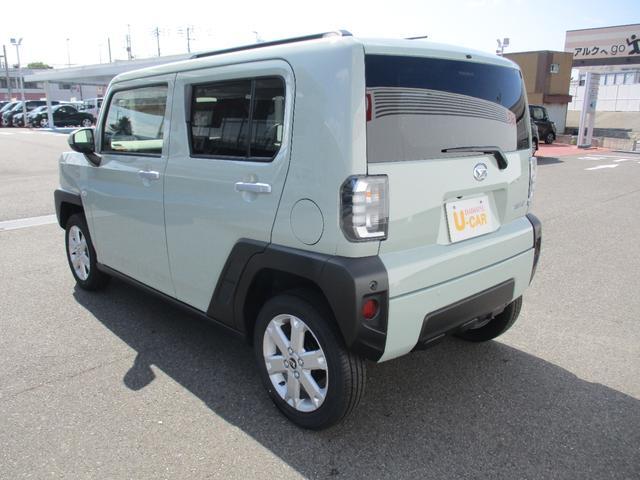 Daihatsu Taft 11