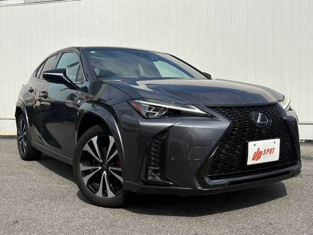 Lexus UX 6