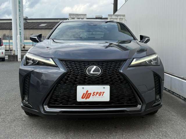 Lexus UX 7