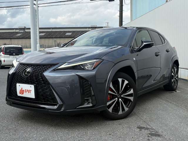Lexus UX 8