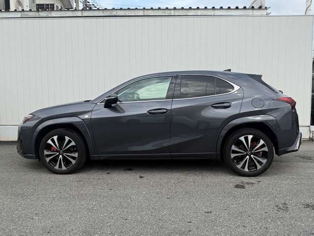 Lexus UX 9