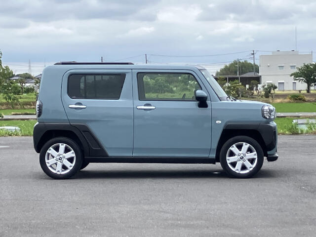 Daihatsu Taft 10