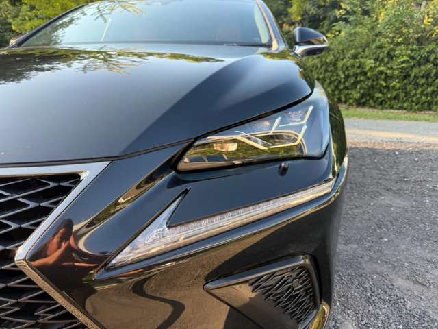 Lexus NX 7