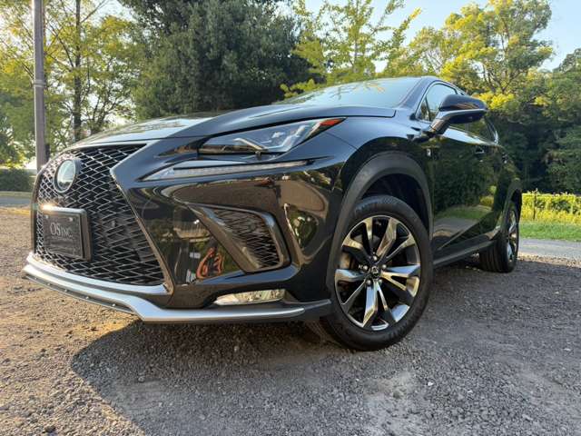 Lexus NX 10