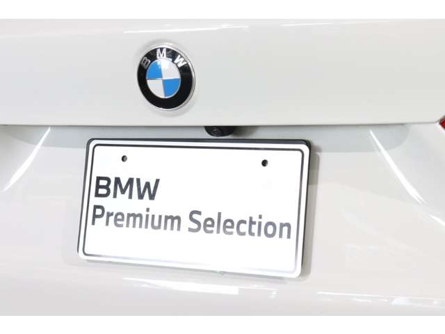 BMW X1 9