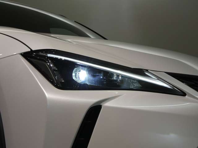 Lexus UX 10