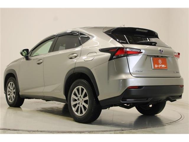 Lexus NX 11