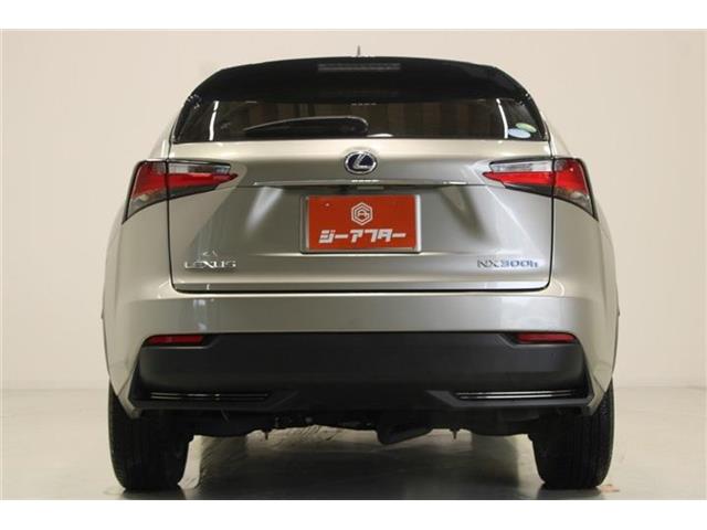 Lexus NX 12