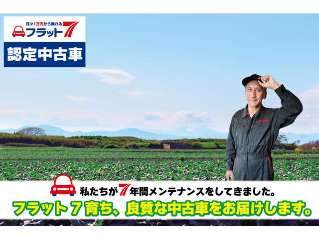 Daihatsu Hijet Cargo 5