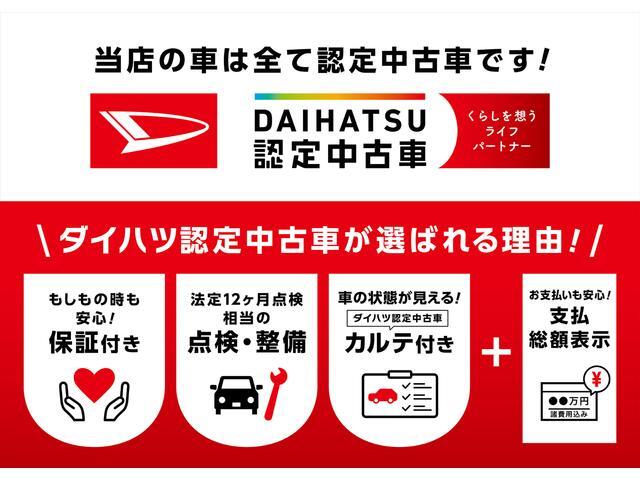 Daihatsu Rocky 10