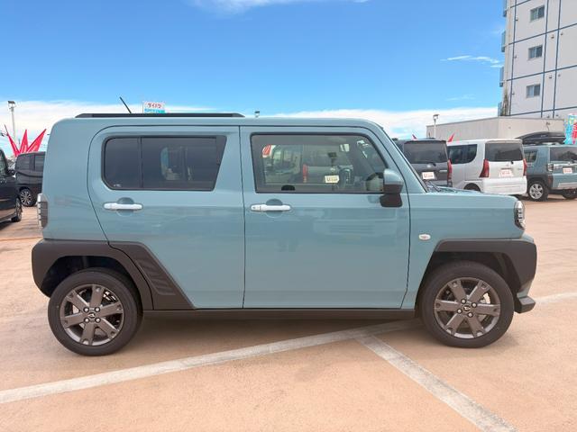 Daihatsu Taft 6