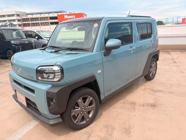 Daihatsu Taft 10