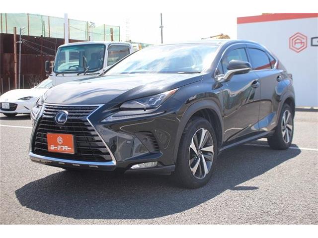 Lexus NX 11