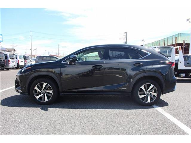Lexus NX 12