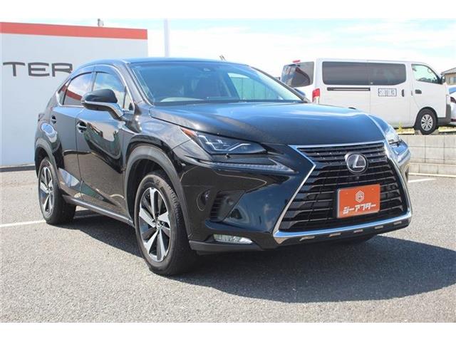 Lexus NX 9