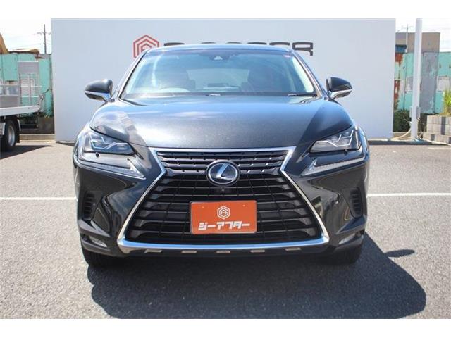 Lexus NX 10